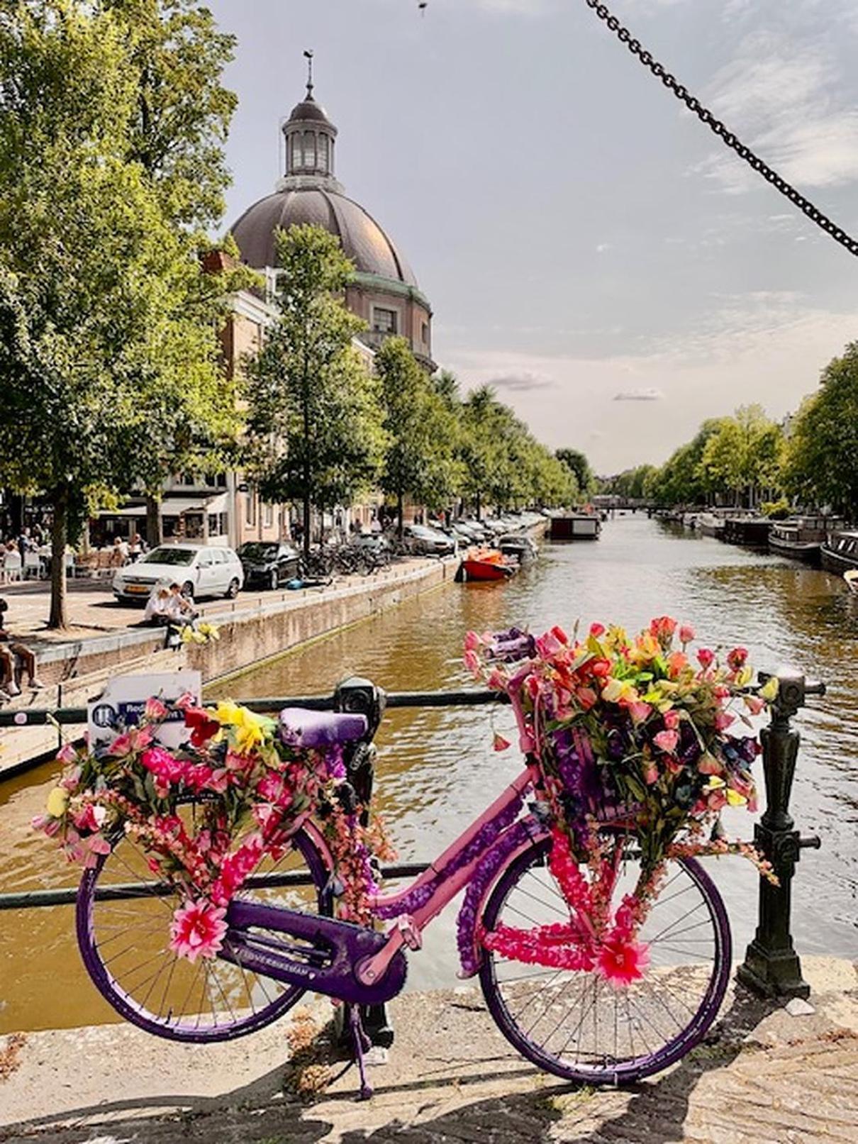 Bed & Breakfast Jo Amsterdam Diemerbrug Extérieur photo